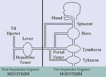 Ioniseret vand